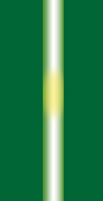 nSIGHTイメージング機能 image