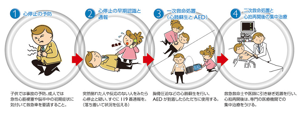 (1) 心停止の予防 (2) 心停止の早期認識と通報 (3) 一次救命処置(心肺蘇生とAED) (4) 二次救命処置と心拍再開後の集中治療
